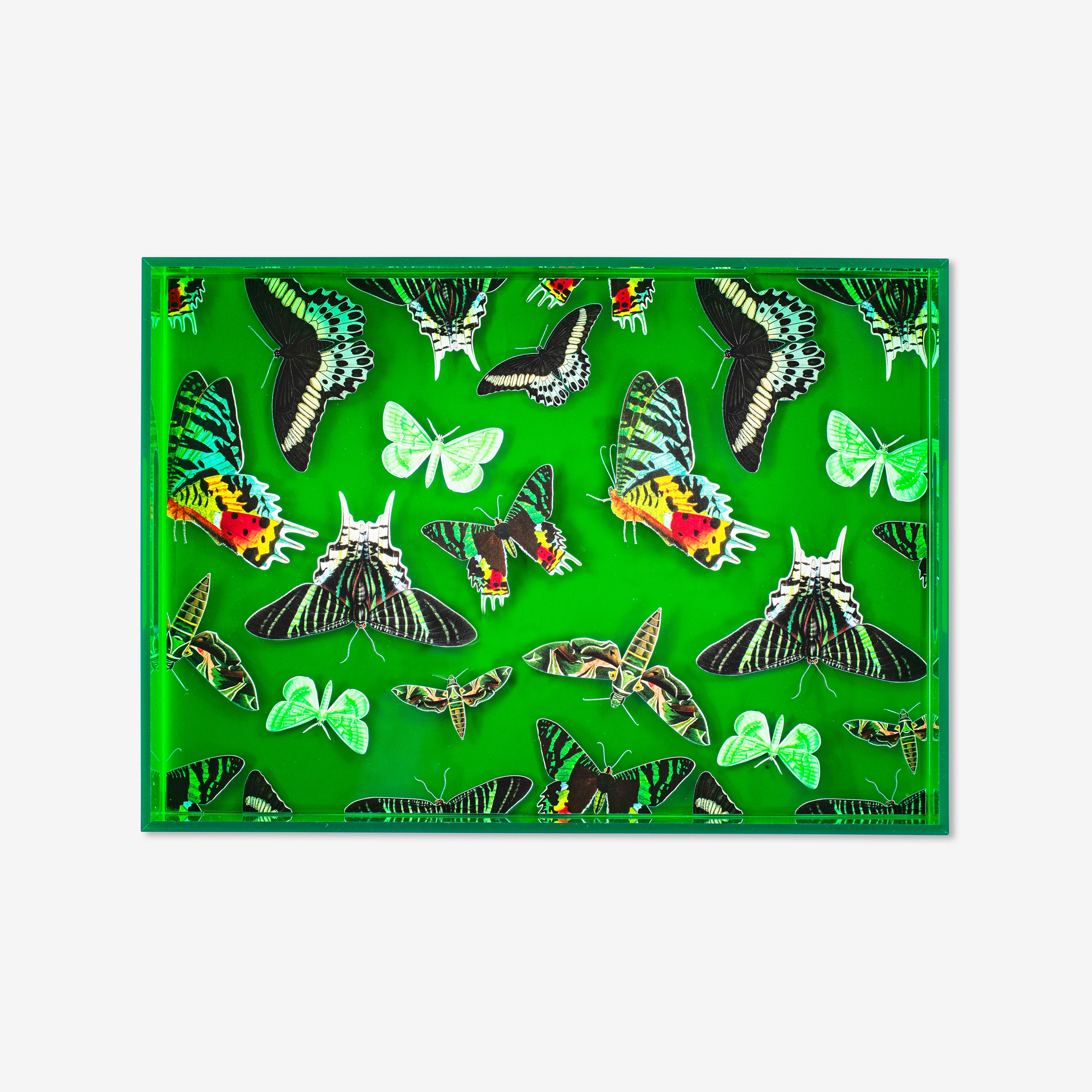 Butterfly Tray